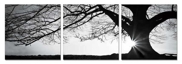 Tree - Black and White - California Wall Art
 - 1