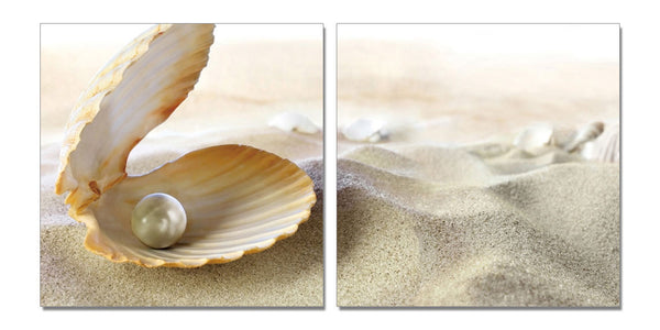 Sea Shell - California Wall Art
