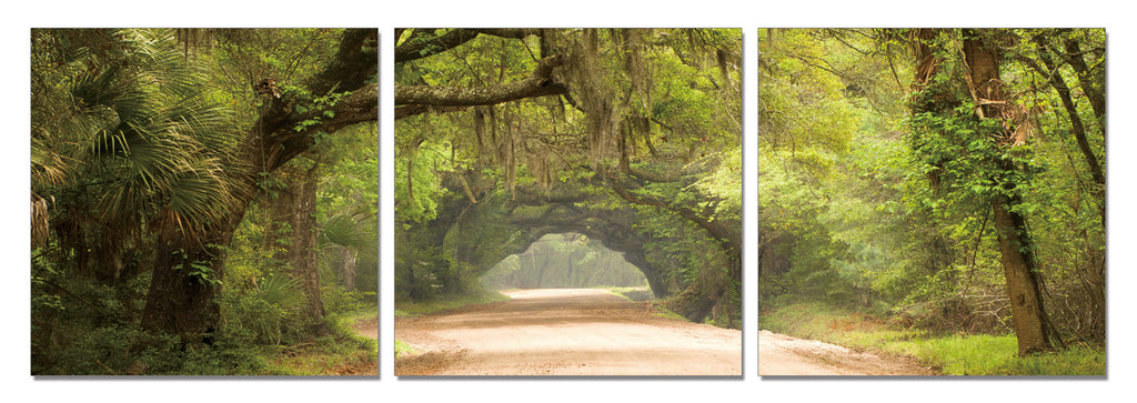 Green Pathway - California Wall Art
