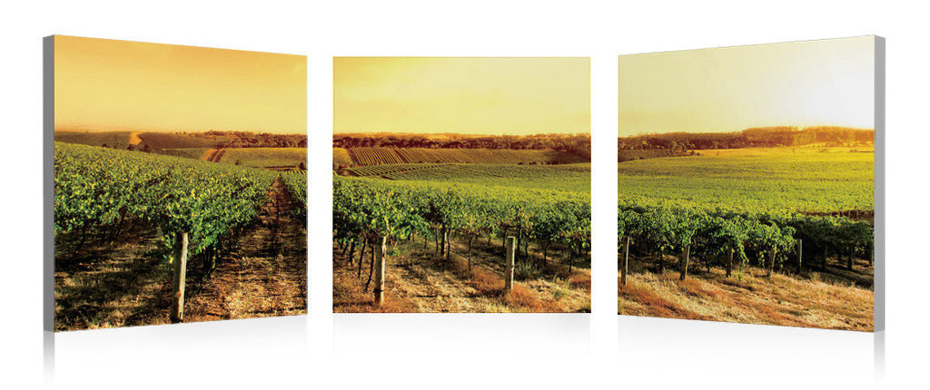 Winery - Napa Valley - California Wall Art
 - 1