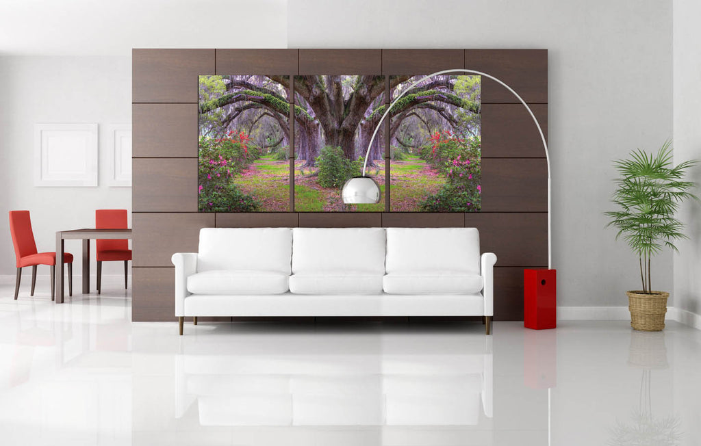 Louisiana Trees - California Wall Art
 - 2
