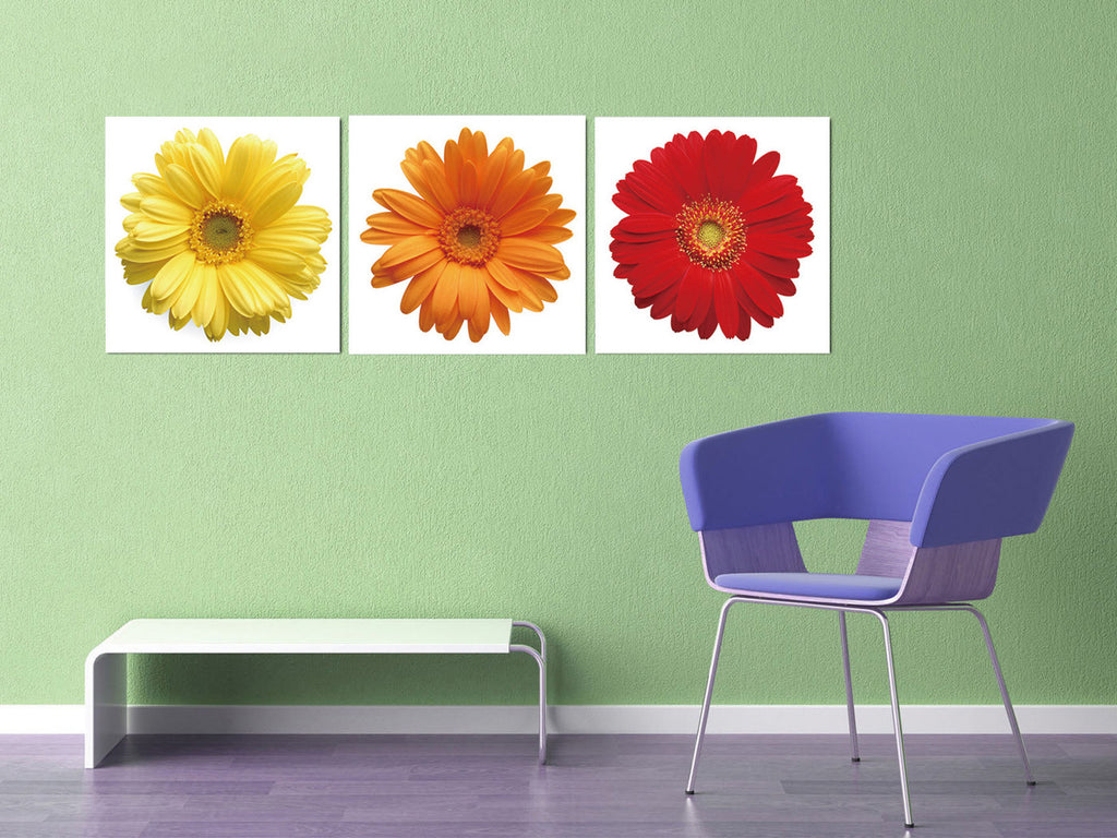 Daisies - Colors - California Wall Art
 - 2