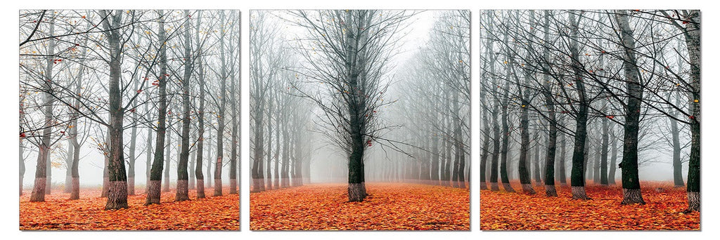 Perfect Forest - California Wall Art
 - 1